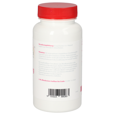 DHEA 40 mg Regenbogen Apotheke Kapseln