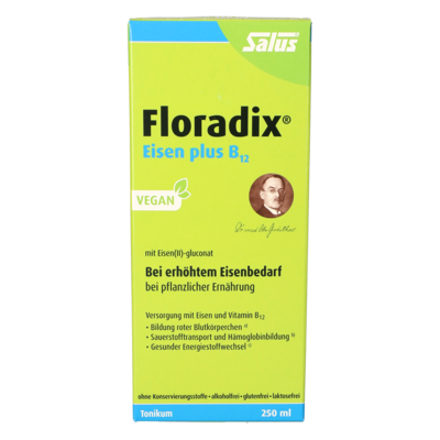 Floradix® Eisen plus B12 Tonikum