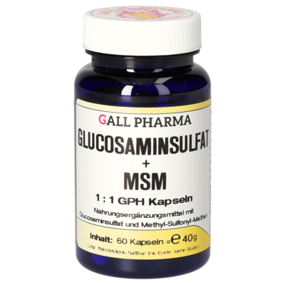 Glucosaminsulfat + MSM 1:1 GPH Kapseln