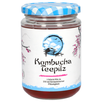 Kombucha Tea Mushroom GPH 