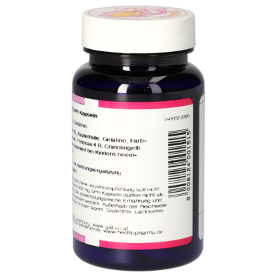 L-Glutamine 500 mg GPH Capsules