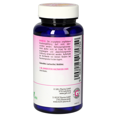 L-Lysin 500 mg Vegan GPH Kapseln