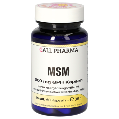 MSM 500 mg GPH Capsules