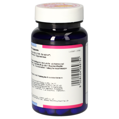 Vitamin B6 25 mg GPH Capsules