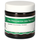Arnica Ointment St. Severin