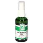 Astragalus Spray