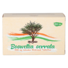 Boswellia Serrata 400 mg GPH Tabletten