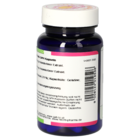 Elderberry 350 mg GPH Capsules