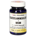 Glucosamine sulphate + MSM 1:1 GPH Capsules