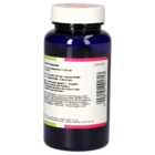 Guarana 500 mg GPH Kapseln