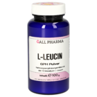 L-Leucin GPH Pulver