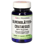 Olive Leaves + Crataegus GPH Capsules