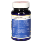 Topinambur Aminosäure-Vitamin GPH Kapseln